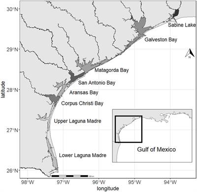 Changes in species compositions of fish in the bays of the Northwestern Gulf of Mexico